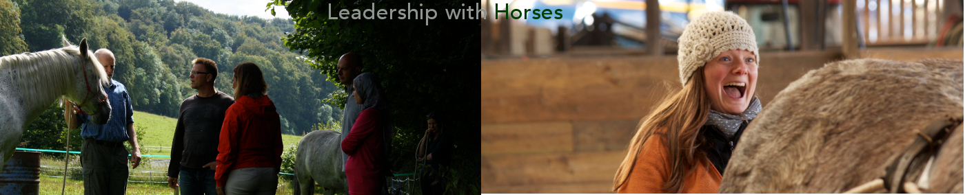 Leadership with Horses